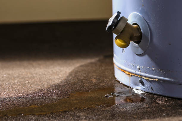 Best Fire Damage Restoration  in Colstrip, MT