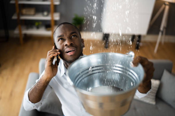 Best 24/7 water damage repair  in Colstrip, MT
