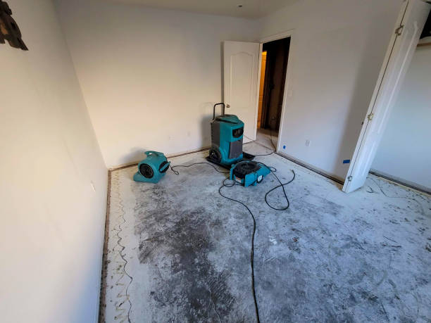 Best Local water damage restoration  in Colstrip, MT
