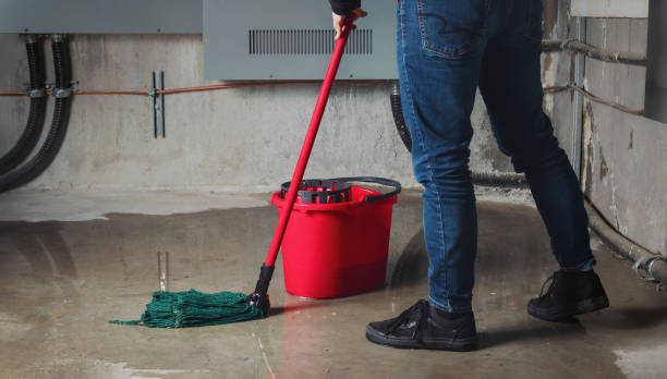 Best Ceiling water damage repair  in Colstrip, MT