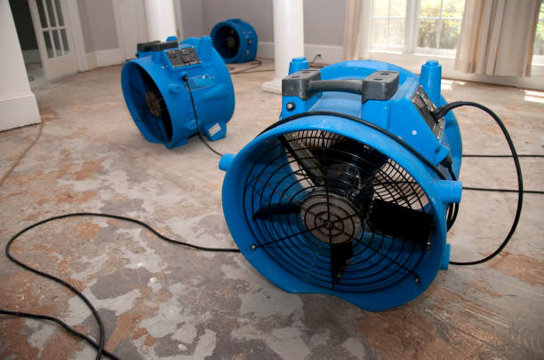 Water damage restoration mold remediation in MT