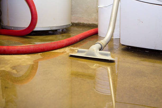 , MT Water damage restoration Company