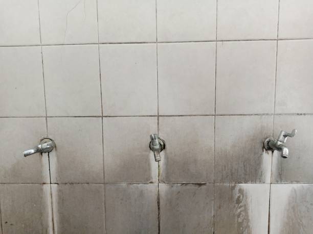 Best Water damage restoration near me  in Colstrip, MT