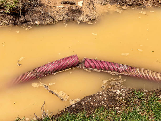 Reliable MT Water damage restoration Solutions