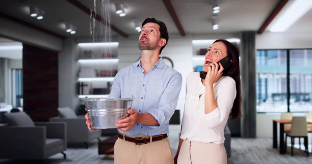 Best Water damage repair service  in Colstrip, MT
