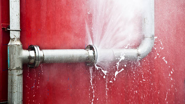 Best Carpet water damage restoration  in Colstrip, MT
